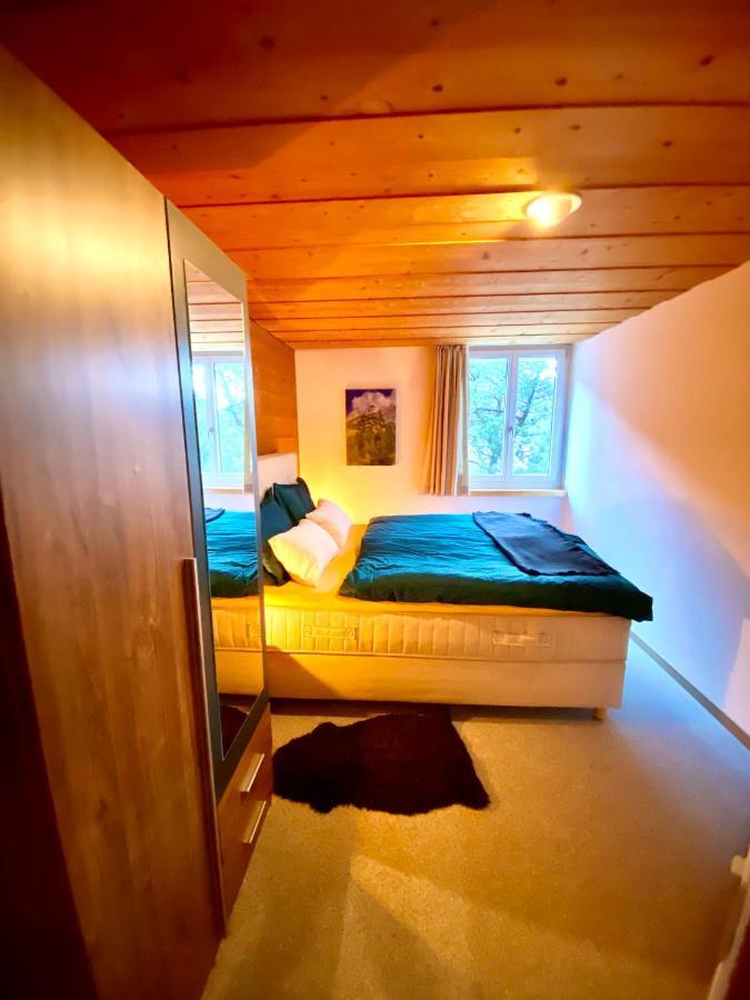 Appartement Aareschlucht- Grandiose Aussicht Fuer 2-6 Pers. Meiringen Exterior photo