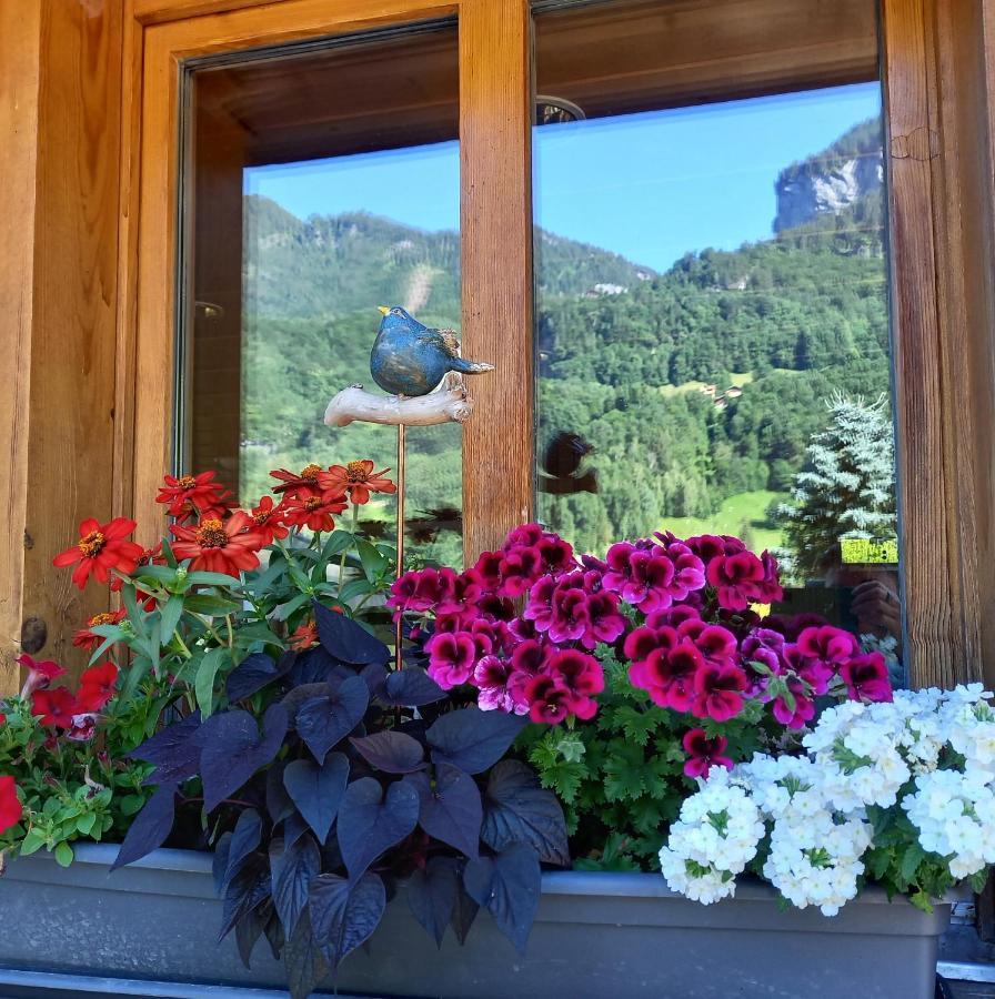 Appartement Aareschlucht- Grandiose Aussicht Fuer 2-6 Pers. Meiringen Exterior photo